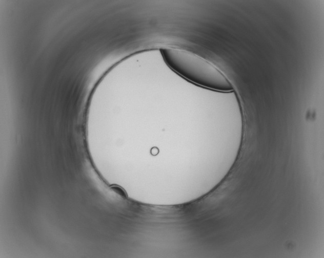 X0000112841152200909181707