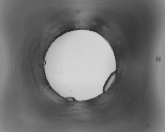 X0000112841153200909181706