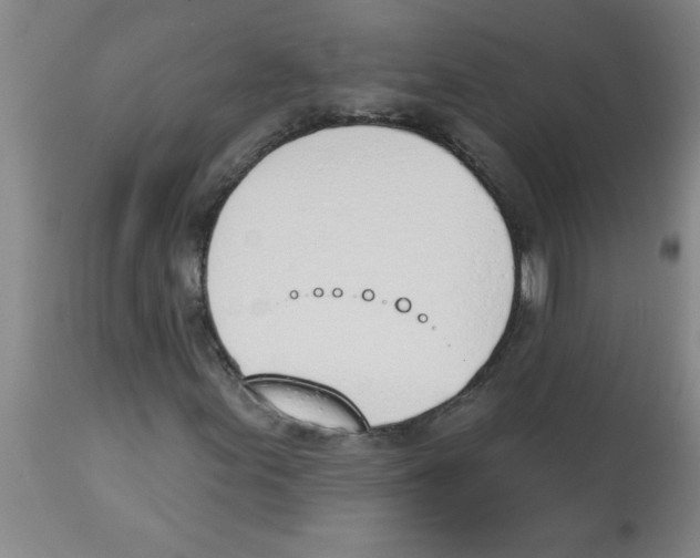 X0000112841155200909181706