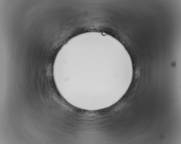 X0000112841156200909181706