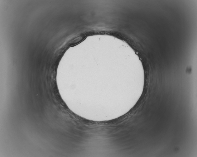 X0000112841157200909181706