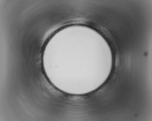 X0000112841164200909181706