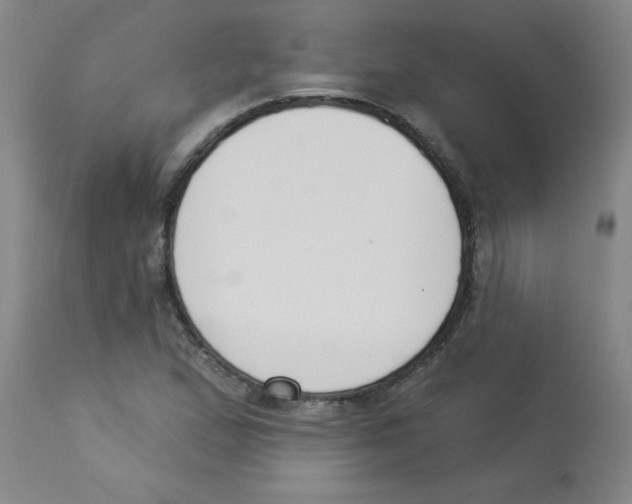 X0000112841167200909181706