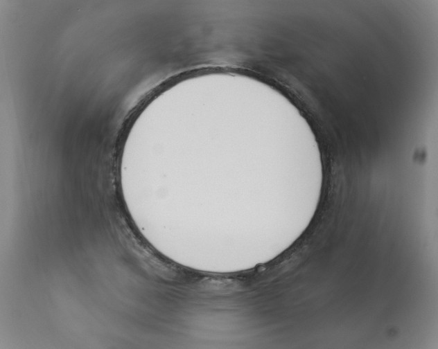 X0000112841168200909181706