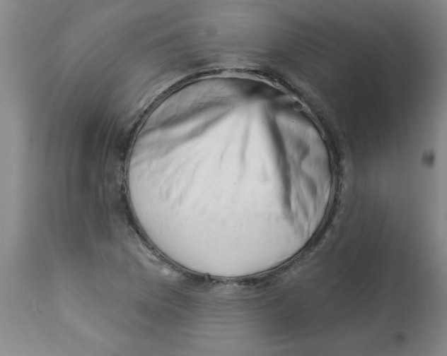 X0000112841169200909181706