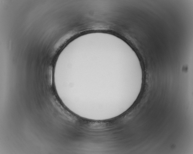 X0000112841171200909181706