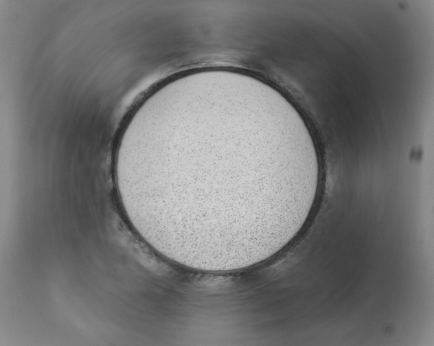 X0000112841174200909181706