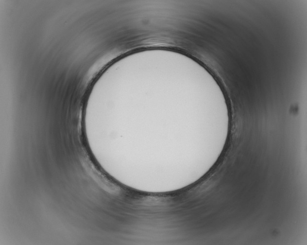 X0000112841179200909181706