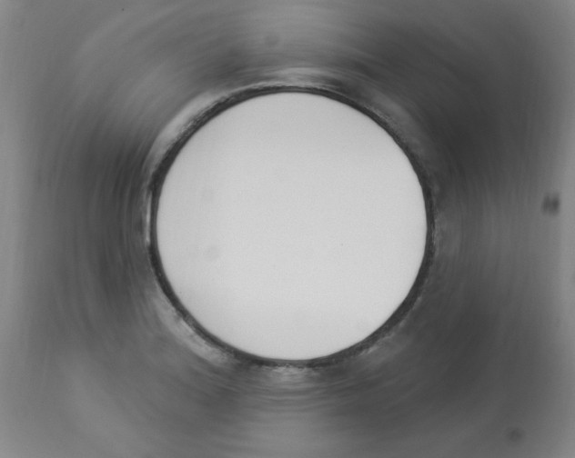 X0000112841180200909181706