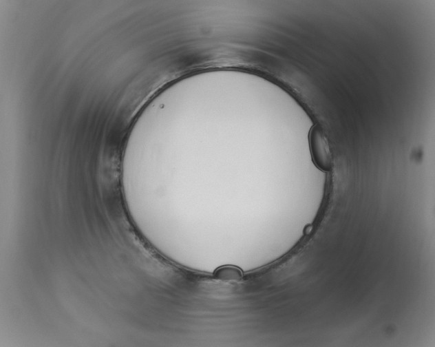 X0000112841185200909181706