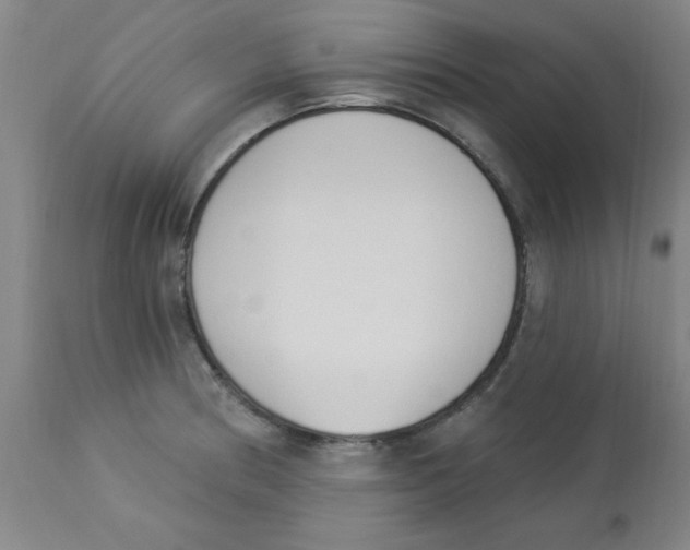 X0000112841186200909181706