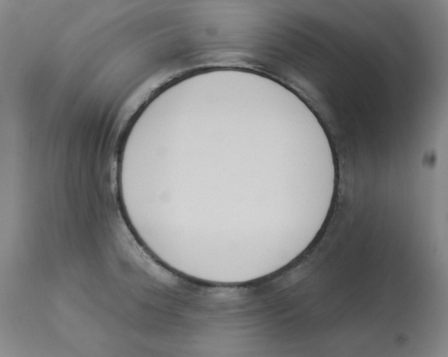 X0000112841188200909181706