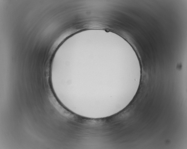 X0000112841195200909181706