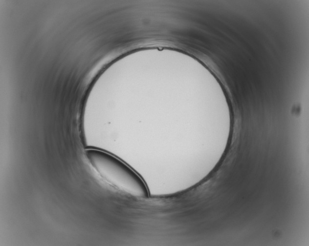 X0000112841197200909181706