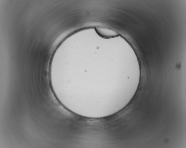 X0000112841199200909181706