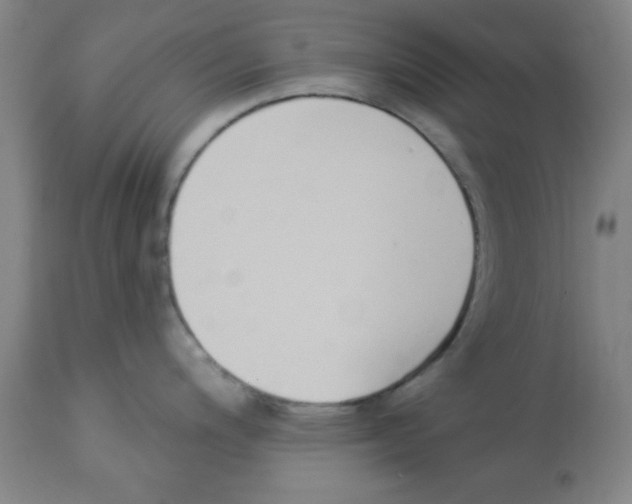 X0000112841200200909181706