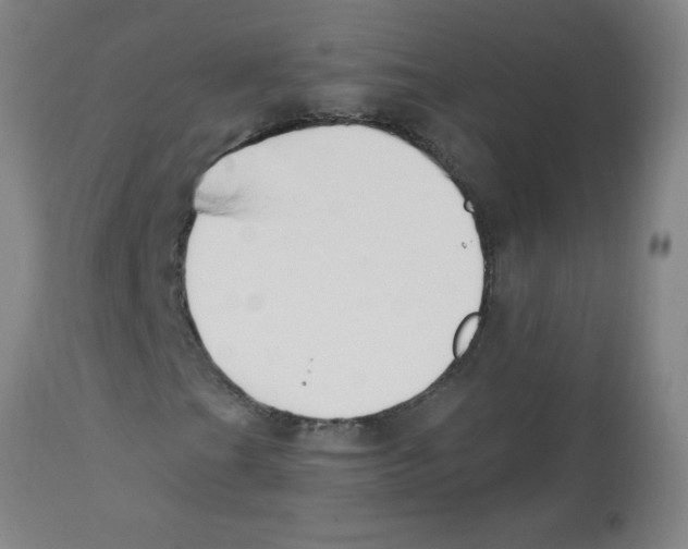 X0000112841201200909181705