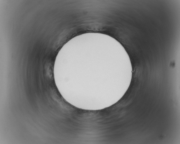 X0000112841202200909181705