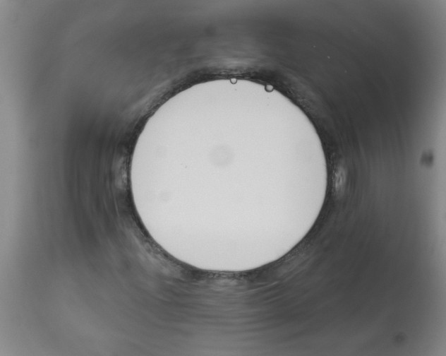 X0000112841204200909181705