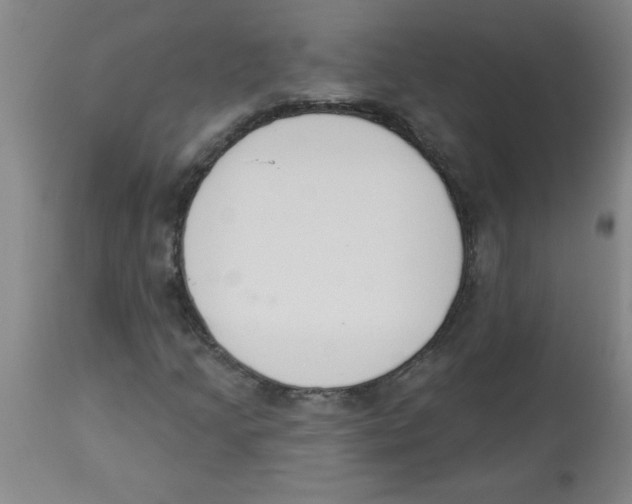 X0000112841205200909181705