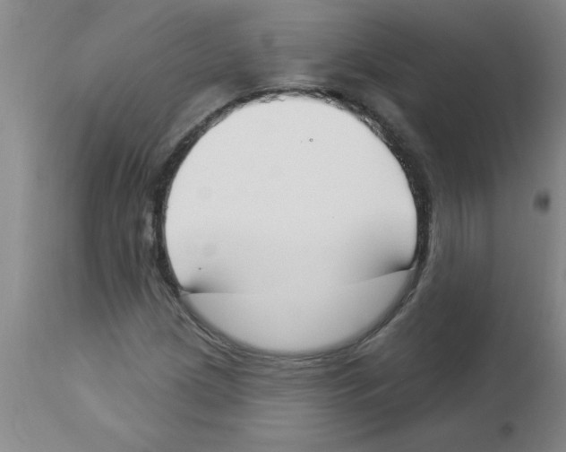 X0000112841209200909181705