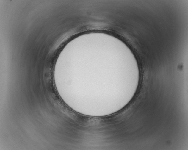 X0000112841211200909181705