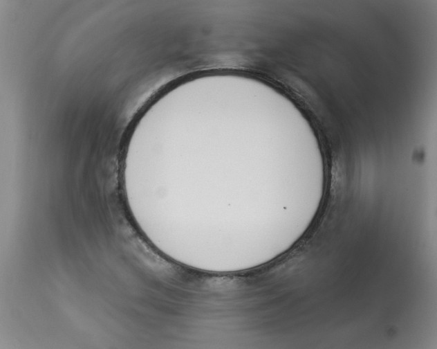 X0000112841212200909181705