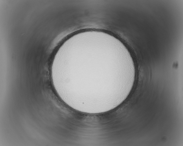 X0000112841215200909181705