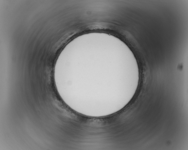 X0000112841217200909181705