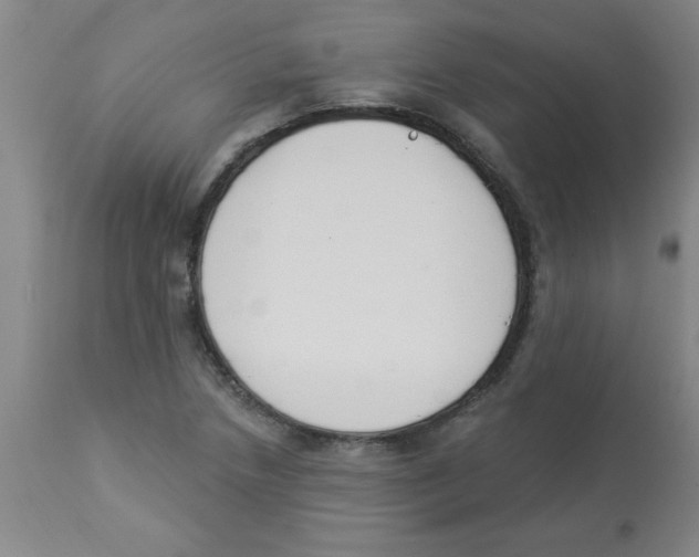 X0000112841218200909181705