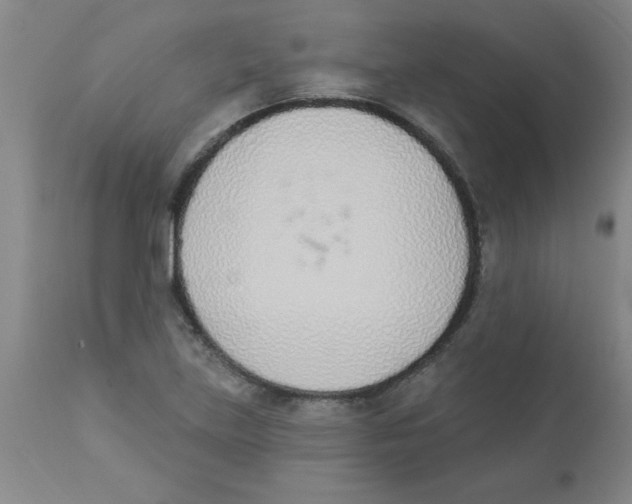 X0000112841219200909181705