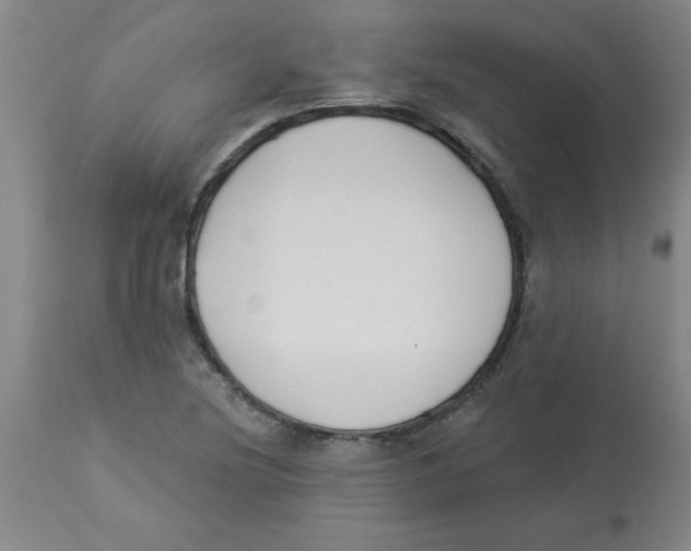 X0000112841220200909181705