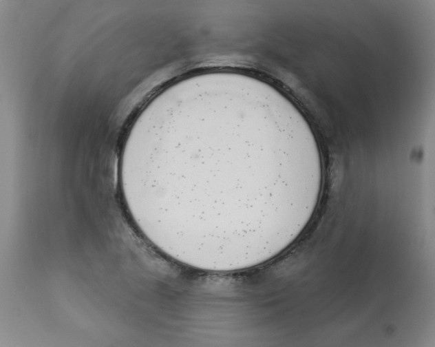 X0000112841221200909181705