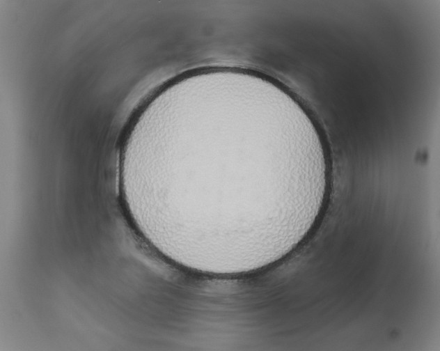 X0000112841223200909181705