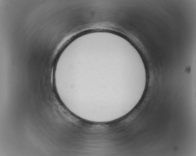 X0000112841224200909181705