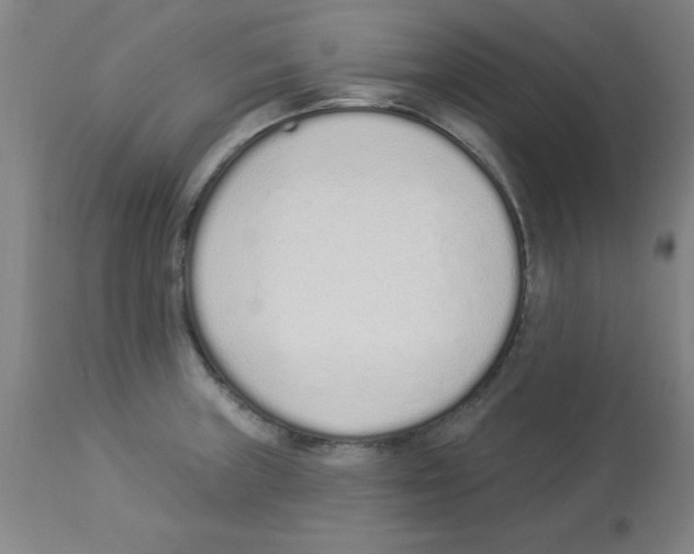 X0000112841235200909181705