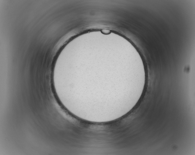 X0000112841237200909181705