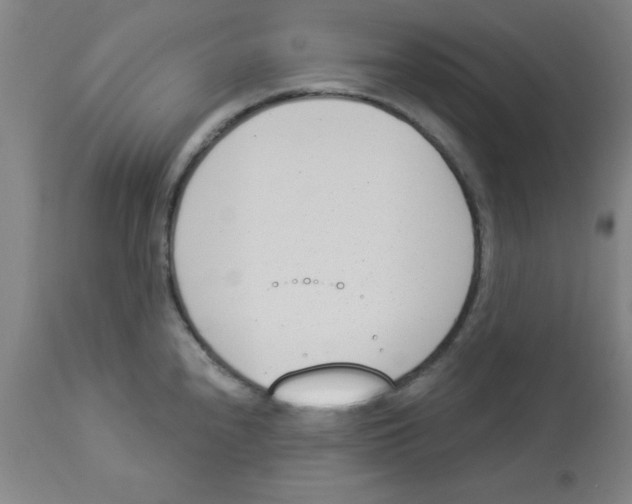 X0000112841240200909181705