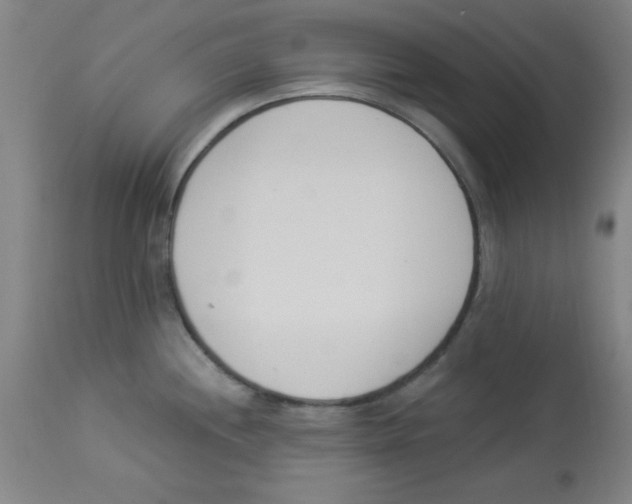 X0000112841244200909181706