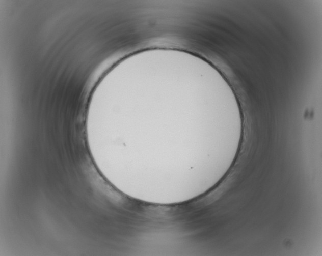 X0000112841248200909181706