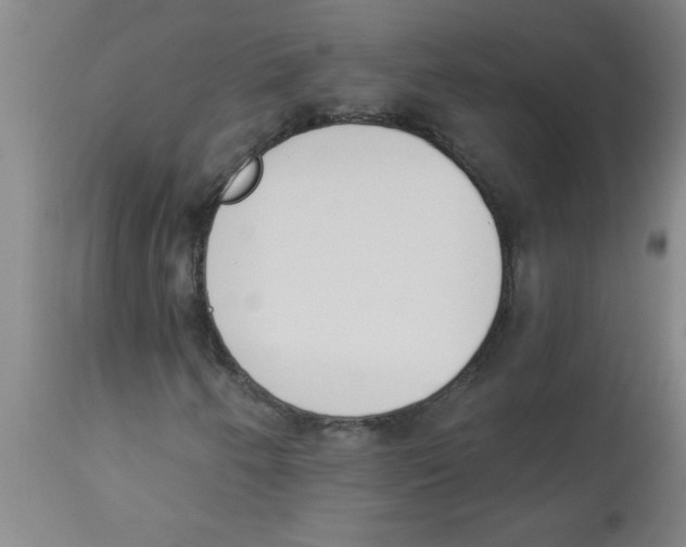 X0000112841250200909181705