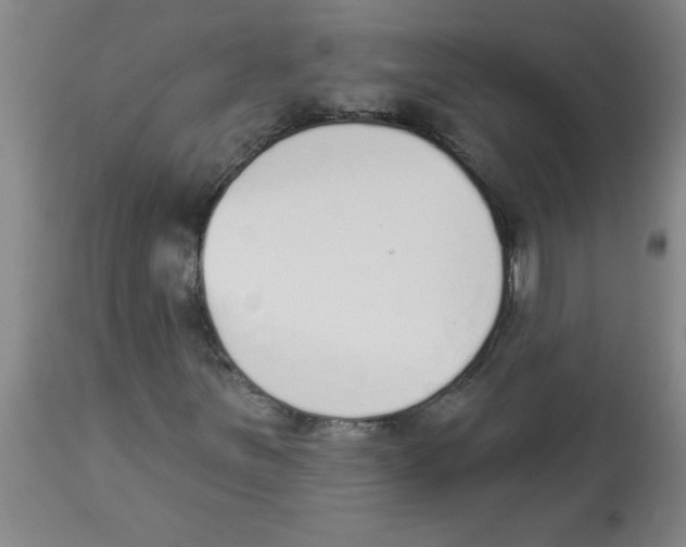 X0000112841251200909181705