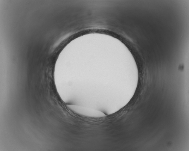 X0000112841255200909181705