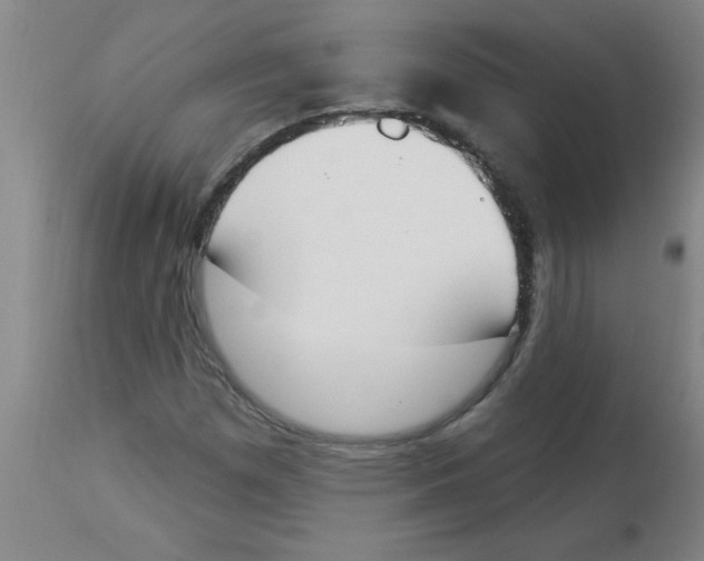 X0000112841257200909181705