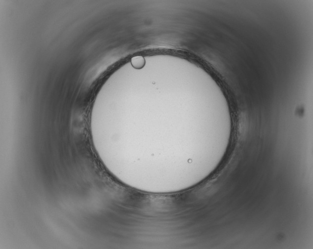 X0000112841258200909181705