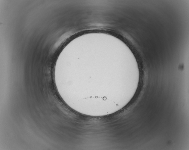 X0000112841259200909181705