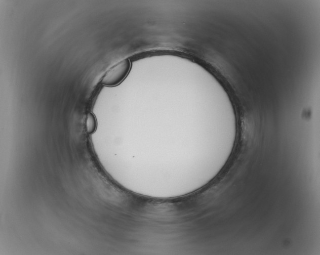 X0000112841260200909181705