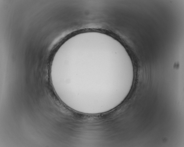 X0000112841262200909181705