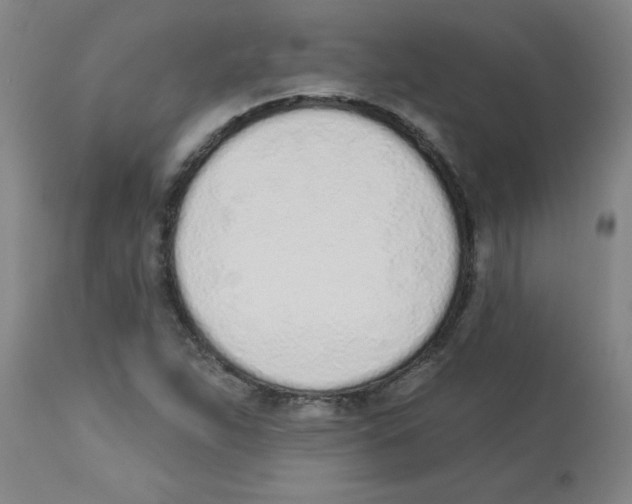 X0000112841263200909181705