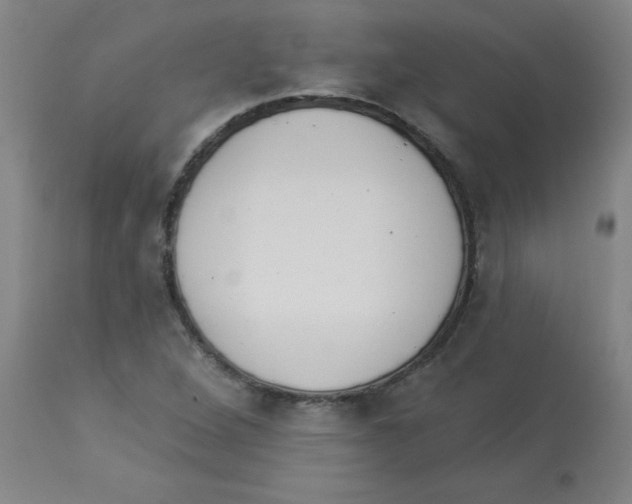 X0000112841264200909181705